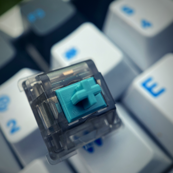 T1 - 67G