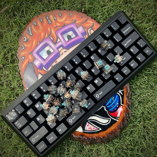T1 - 67G